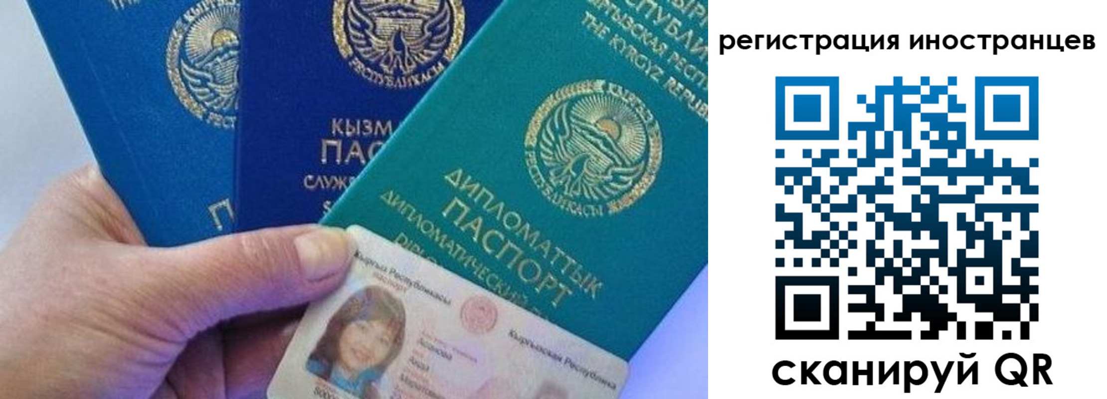 прописка в Суворове